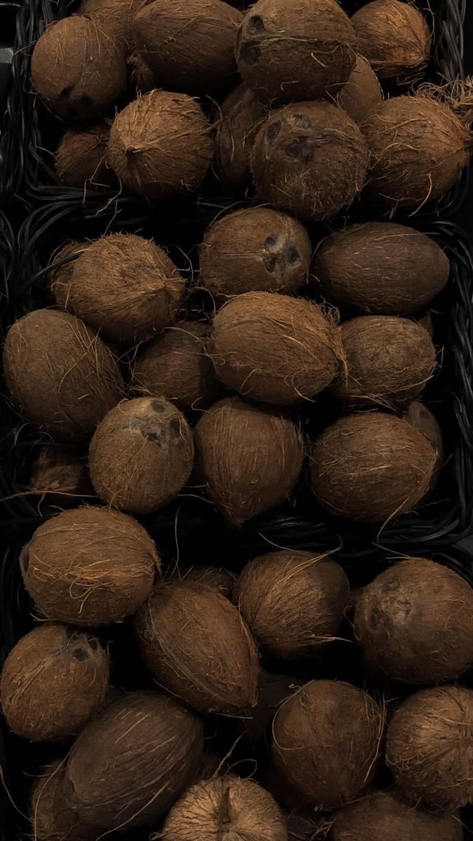 Kelapa Semi-Husked Segar