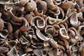 Kopra Hitam Industri